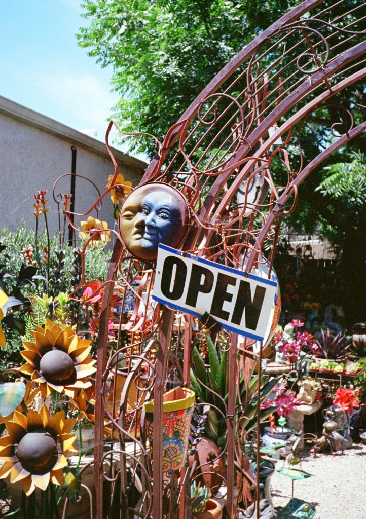 California US 2025 Pentax 17 Kodak Portra 400 + Kodak UltraMax 400